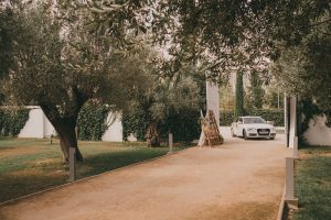 Boda de verano, en el cortijo de Enmedio